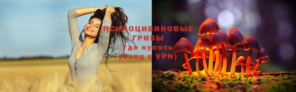 гашик Аркадак